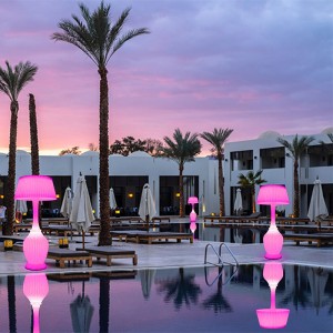 Morden Style Floor Light Multcor SMART LOA LAMP SLOGHER Đèn đứng với pin