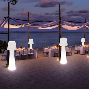 Lễ hội trang trí polyethylen đènnền LEDngoài trời cho bữa tiệc sân vườn và trang trí sự kiệnngoài trời