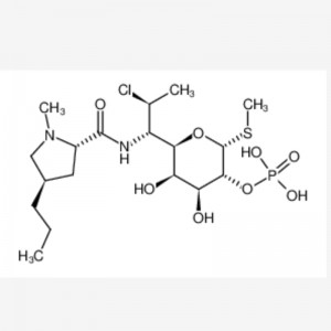 Clindamycin phosphate