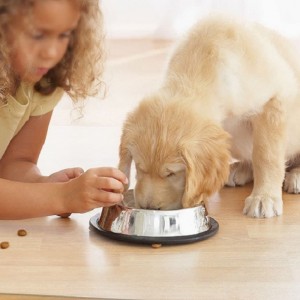 2022 Amazon Hot Sale Ghế Mat cho bảo vệ sàn cứng trong suốt PP Bàn văn phòng Ghế Ghế