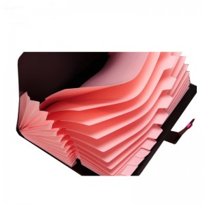 Mở rộng thư mục A5 Kích thước chữ PP PP POCKETS MULTI POCKEVERSIBLIBLER