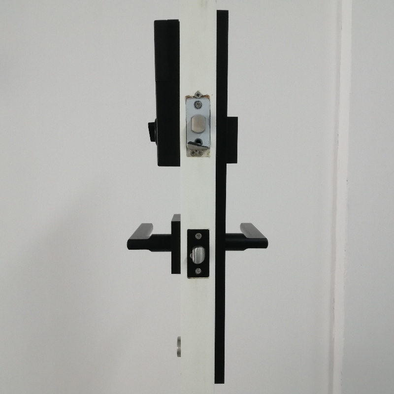 3004 Tấm dài khóa thông minh cho cửa trước không có khóa tay cầm, bộ khóa màn hình cảm ứng bộ khóa