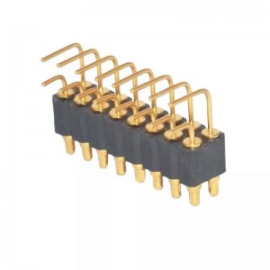 Tiêu chuẩn phải pogo pogo ento