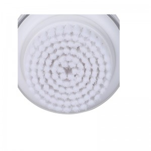 TRIỀU THỰC CẤM CỦA TRIỀU THẤP.