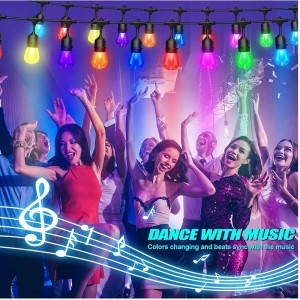 Đèn chuỗingoài trời 48ft, 15 bóng đèn LED chống mờ, không thấmnước IP65