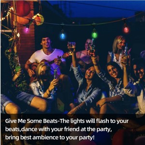 Đèn chuỗingoài trời 48ft, 15 bóng đèn LED chống mờ, không thấmnước IP65