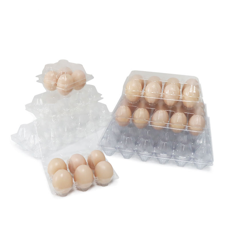 Khay trứng đóng gói sinh học sinh học dùng một lần dùng một lần