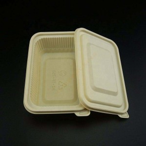 Takeaway Biode có thể phân hủy sinh học Bento Bento Hộp ăn trưa