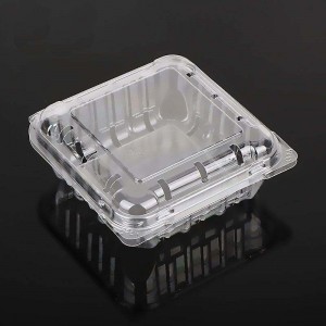 125g Bán buôn trong suốt Clamshell Blueberry Clamshell đóng gói trái cây