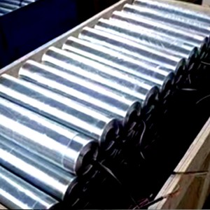 Tùy chỉnh DC Làn chân lăn điện không chổi than Cao su 24V 48VPLC điều khiển đôi dây đai tăng tốc Động cơ dây điện