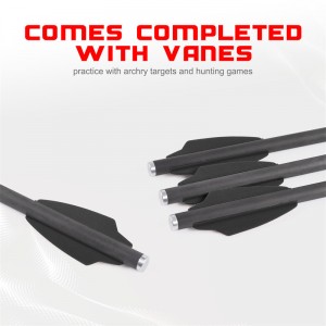 Elongarrow 119612-02 Bu lông mũi tên carbon 16cm với 2pcs 1.65 inch Vane đen