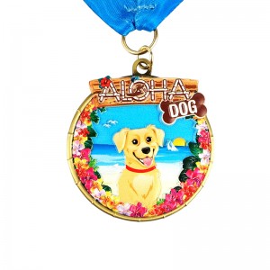 Huy chương Halo Huy chương tùy chỉnh Huy chương vô hạn Huy chương