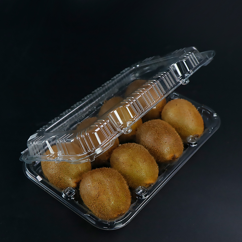 Hộp Kiwi (tám Kiwis) 245*160*55 mm Hgf-018