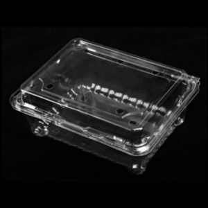 Hộp trái cây cónắp 175*137*75 mm Hgf-500m