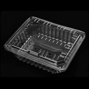 Hộp trái cây cónắp 225*185*80 mm HGF-1000C