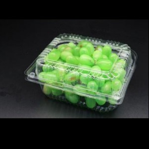 Hộp trái cây cónắp 195*155*85 mm Hgf-650