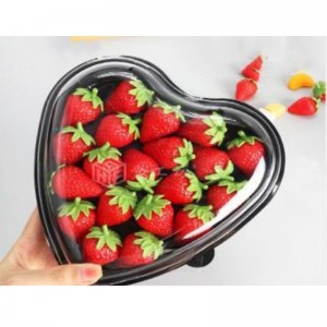 Hộp tim mạch đen đáy 185*45 mm