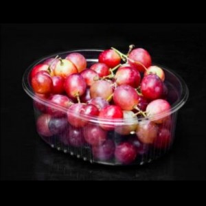 Hộp trái cây dưới cùng 190*150*70 mm HJ-001