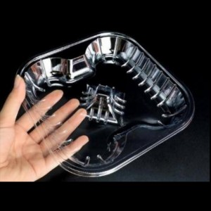 Khay trái cây cónắp không cónắp 190*190*25 mm hgf-4a (85)