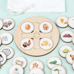 Đồ chơi Khai sáng bằng gỗ Trẻ em tự làm câu đố Yizhi