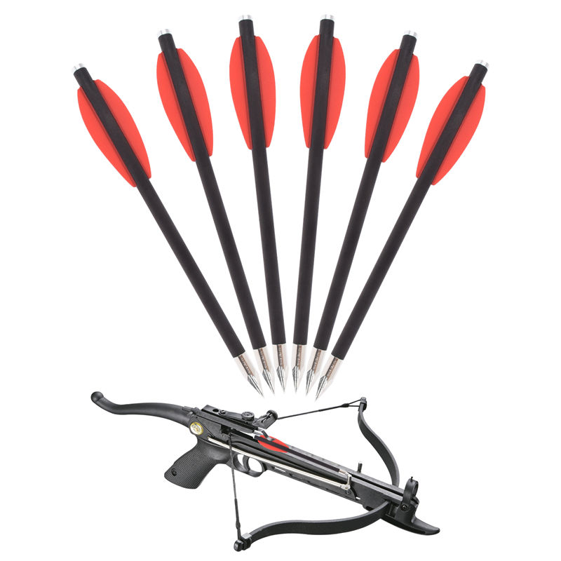 Thông tin lô hàng từ Elongarrow