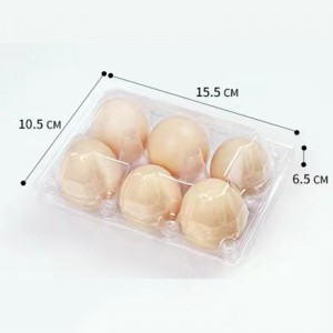 Khay trứng 155*105*65 mm 6 rãnh