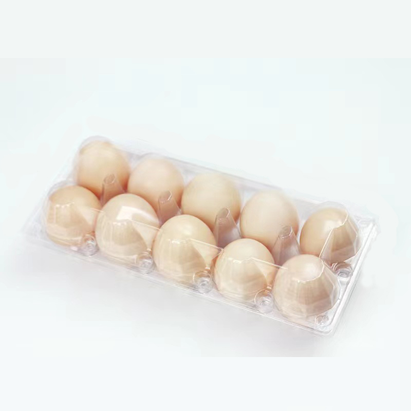 Khay trứng (trung bình) 240*100*63 mm 10 rãnh