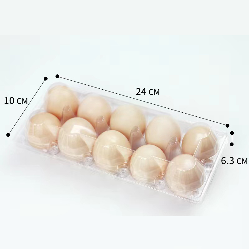 Khay trứng (trung bình) 240*100*63 mm 10 rãnh