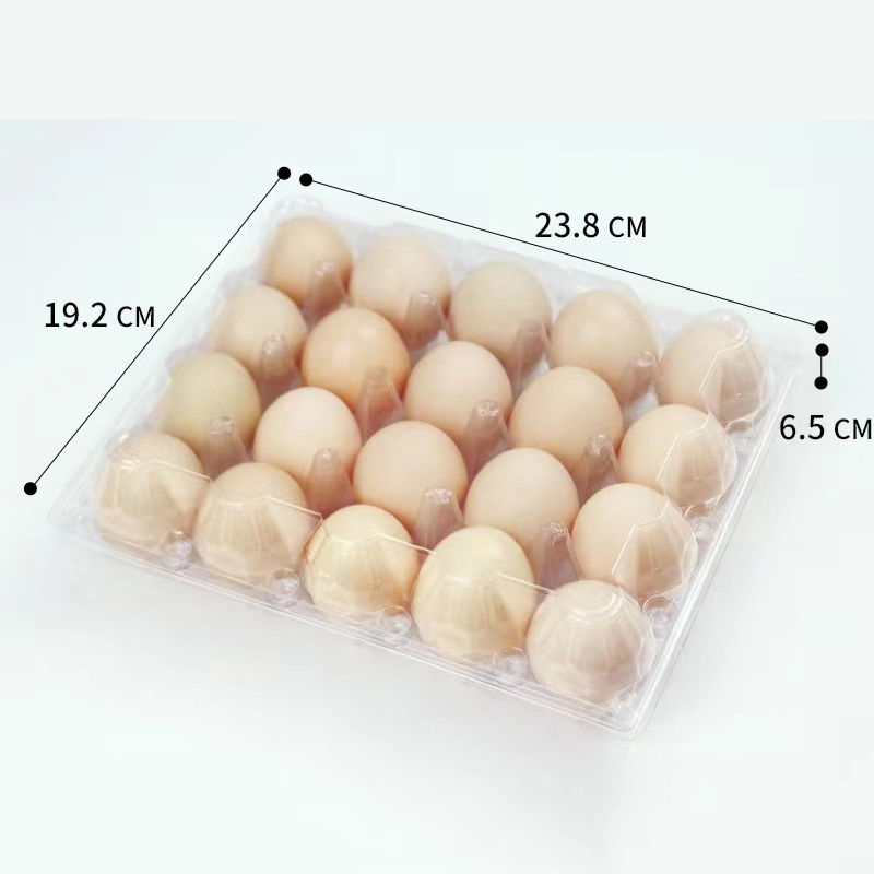 Khay trứng 238*192*65 mm 20 rãnh
