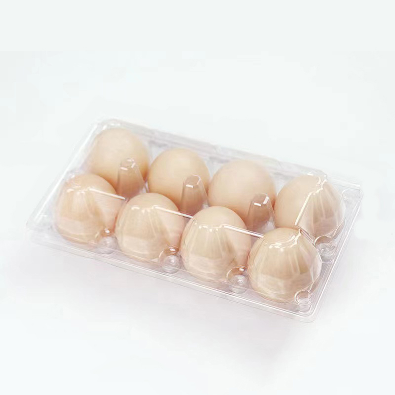Khay trứng (trung bình) 200*105*65 mm 8 rãnh