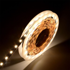5050 60leds/m Dải LED