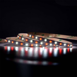 5050 60leds/m RGBW LED Dải
