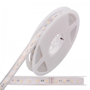 5050 60leds/m WRGBWW LED Dải LED