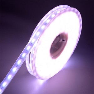 5050 60leds/m WRGBWW LED Dải LED