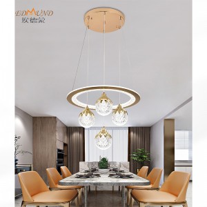 L8022 LED Pedant Light-3