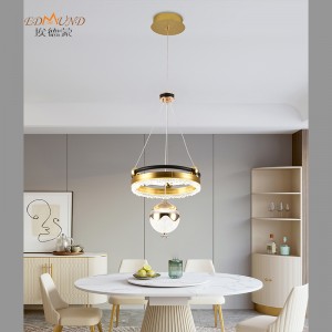 L8035 LED Pedant Light-3