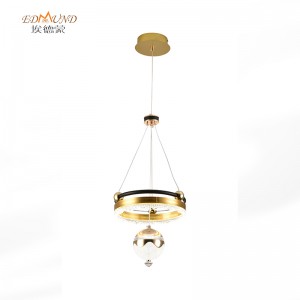 L8035 LED Pedant Light-3