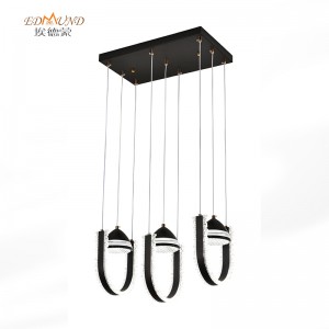 L8036 BK LED Pedant Light-3