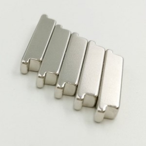 Nam châm dị thể