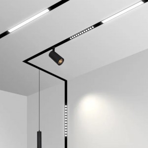 Nam châm ánh sáng theo dõi từ tính