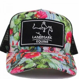 Tùy chỉnh vải in 5 bảng điều khiển lưới xe tải lưới