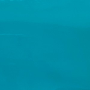 Bằng sáng chế PU da