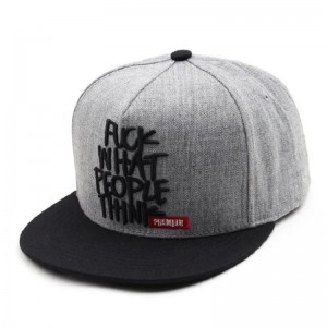 Thiết kế tùy chỉnh Capback Caps/Hats Blanksnapback Mũ bóng chày