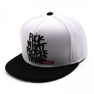 Thiết kế tùy chỉnh Capback Caps/Hats Blanksnapback Mũ bóng chày