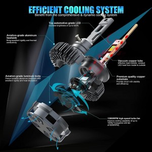 D2S/R Bóng đèn đèn pha LED