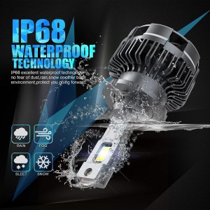 D4S/R Bóng đèn đèn pha LED