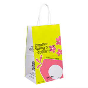 Túi giấy kraft bán buôn túi giấy mua sắm giấy với logo cho bao bì tùy chỉnh quần áo