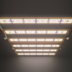 1450W 4*6ft UV+FR có thể chuyển đổi toàn bộ quang phổnóngnhất.