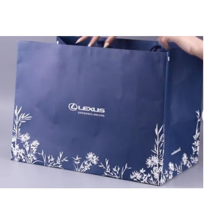 Túi giấy mua sắm quà tặng sang trọng với logo cho túi bao bì tùy chỉnh