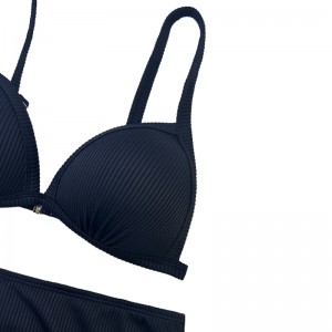 Phụnữ bikini gợi cảm cộng với kích thước phụnữ đồ bơi phụnữ béo trong bộ bikini hình ảnh